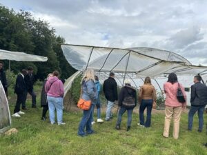 visite abeilles maraichères Crosne 91