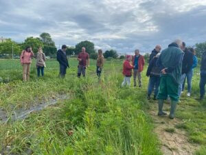 visite abeilles maraichères Crosne 91