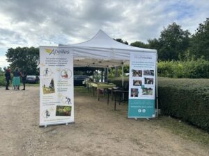 visite abeilles maraichères Crosne 91