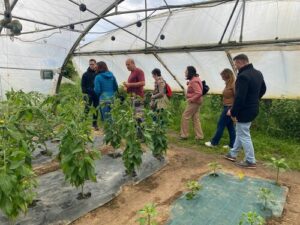 visite abeilles maraichères Crosne 91